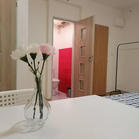Basement Flat In The City Center!!